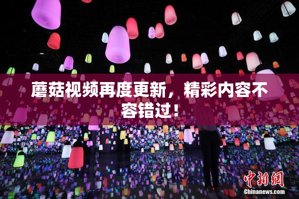 蘑菇视频再度更新，精彩内容不容错过！