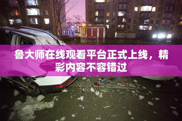 鲁大师在线观看平台正式上线，精彩内容不容错过