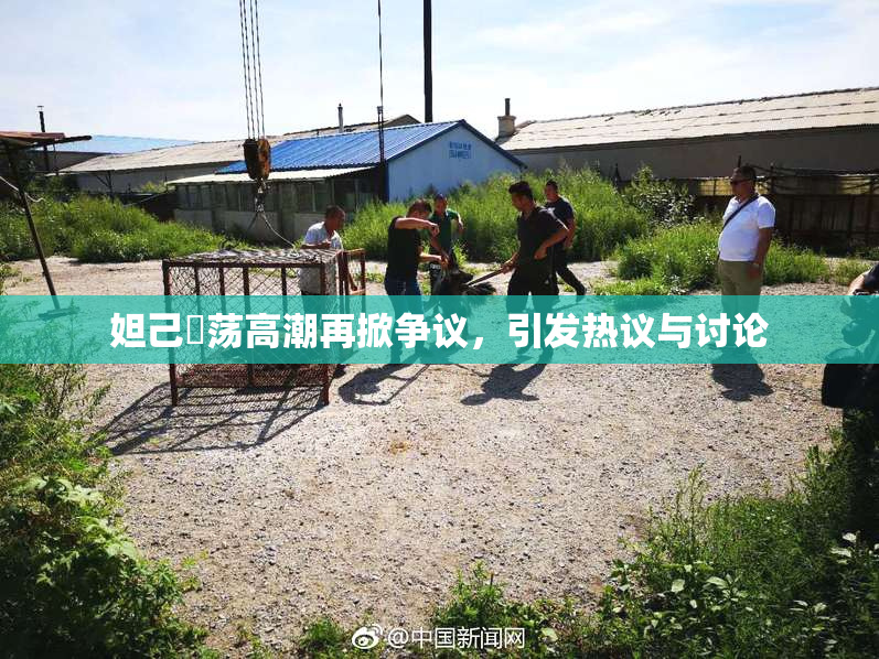 妲己婬荡高潮再掀争议，引发热议与讨论