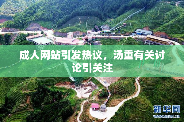 成人网站引发热议，汤重有关讨论引关注