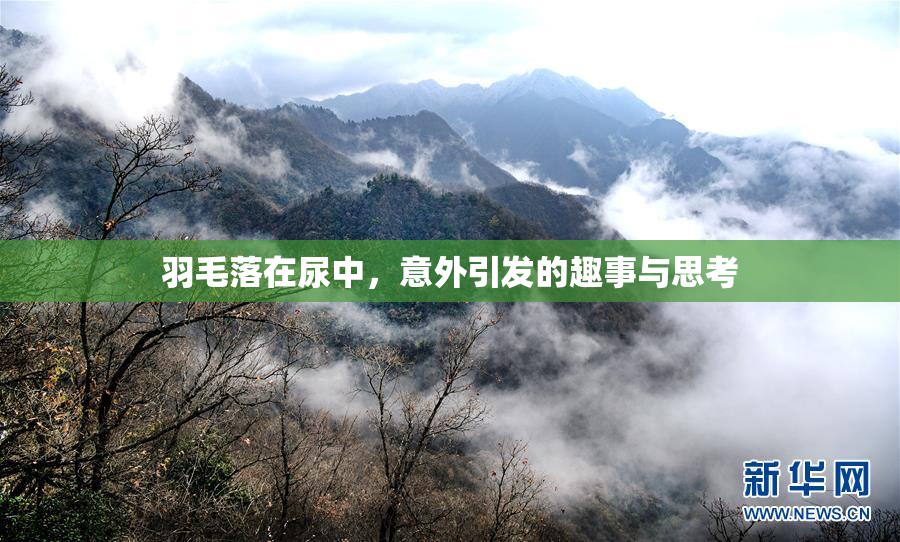 羽毛落在尿中，意外引发的趣事与思考