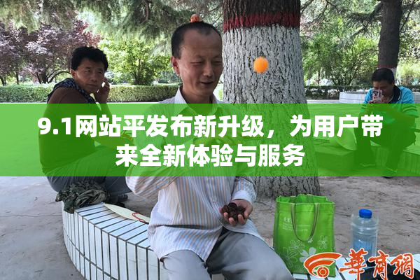 9.1网站平发布新升级，为用户带来全新体验与服务