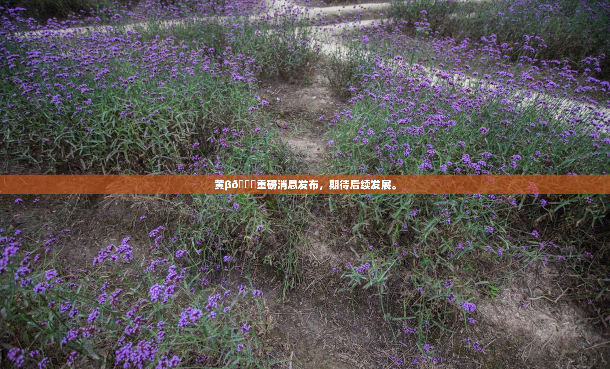 黄β🔞重磅消息发布，期待后续发展。