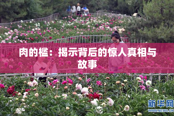 肉的槛：揭示背后的惊人真相与故事