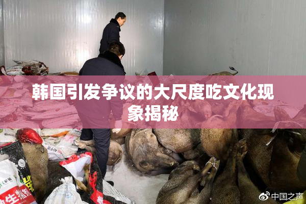 韩国引发争议的大尺度吃文化现象揭秘