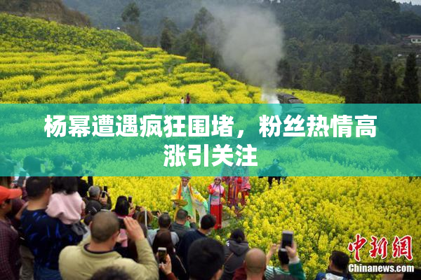 杨幂遭遇疯狂围堵，粉丝热情高涨引关注