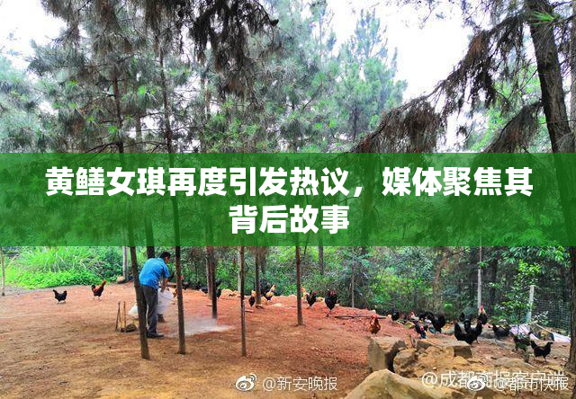 黄鳝女琪再度引发热议，媒体聚焦其背后故事