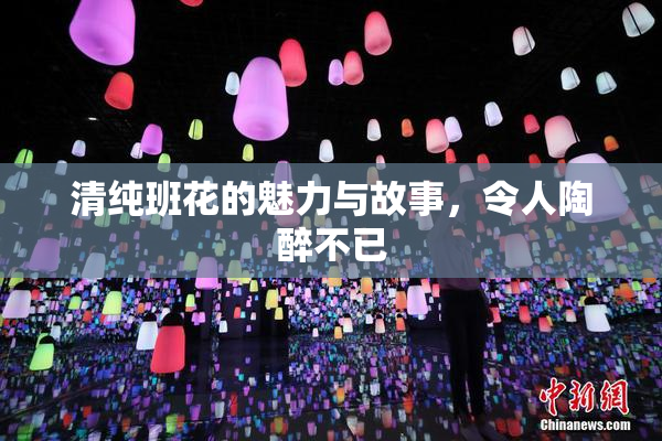 清纯班花的魅力与故事，令人陶醉不已