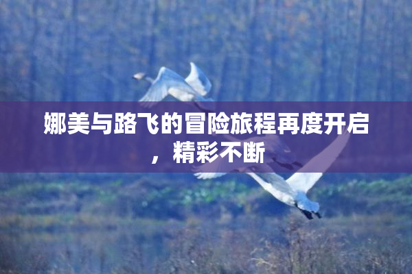 娜美与路飞的冒险旅程再度开启，精彩不断