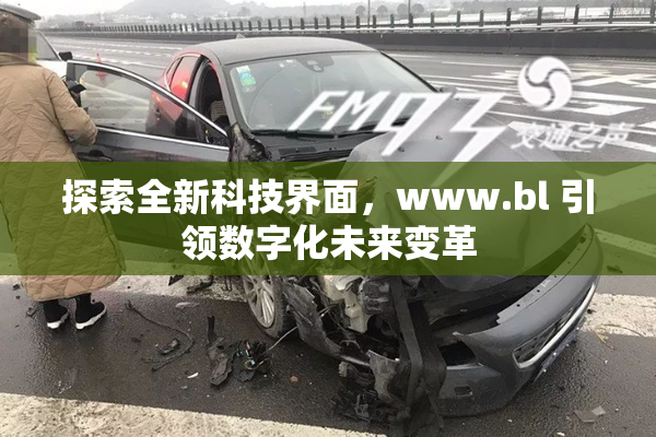 探索全新科技界面，www.bl 引领数字化未来变革