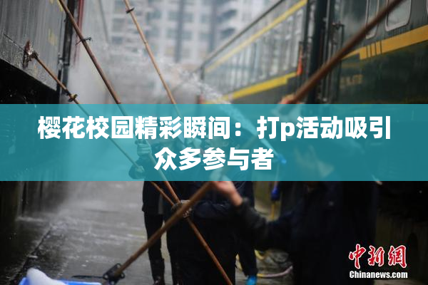 樱花校园精彩瞬间：打p活动吸引众多参与者