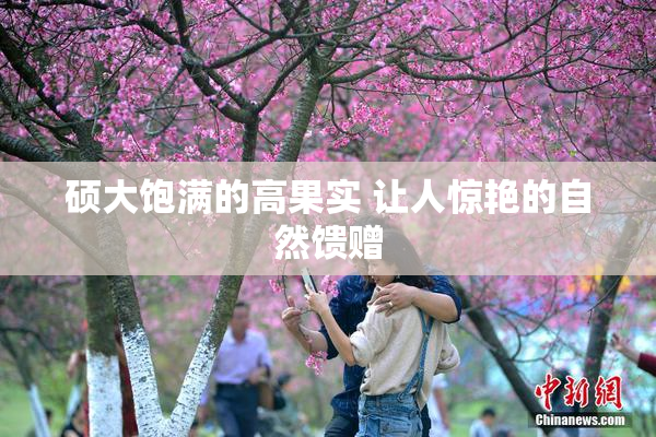 硕大饱满的高果实 让人惊艳的自然馈赠