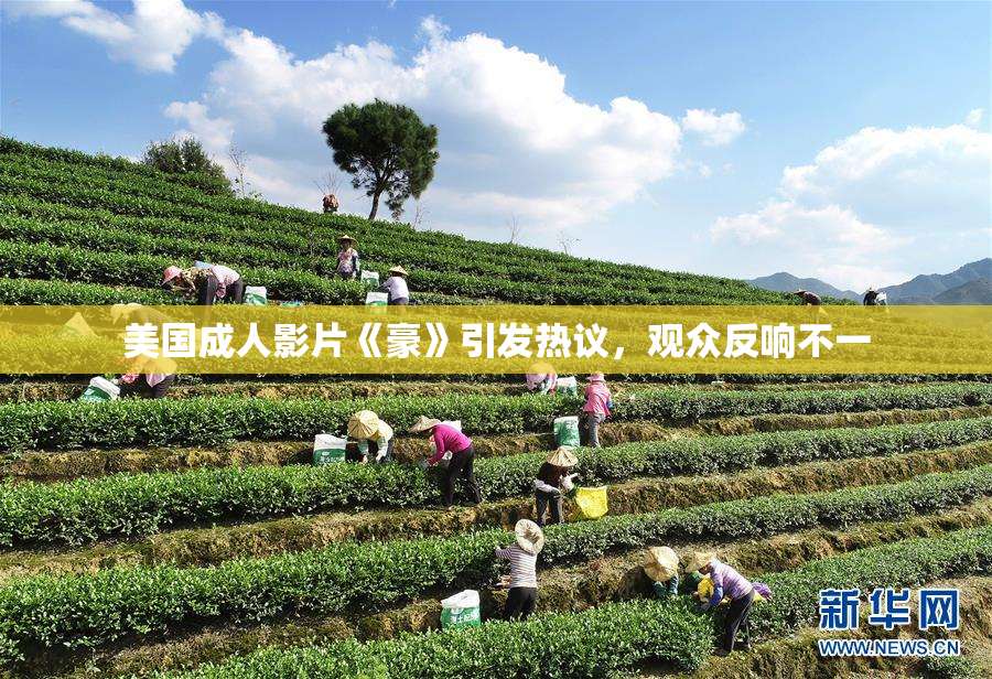 美国成人影片《豪》引发热议，观众反响不一