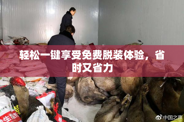 轻松一键享受免费脱装体验，省时又省力