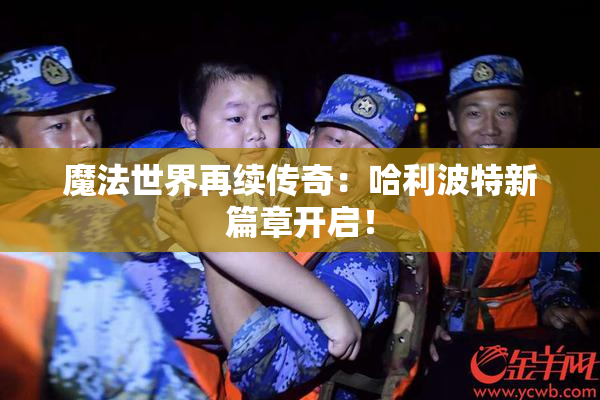 魔法世界再续传奇：哈利波特新篇章开启！