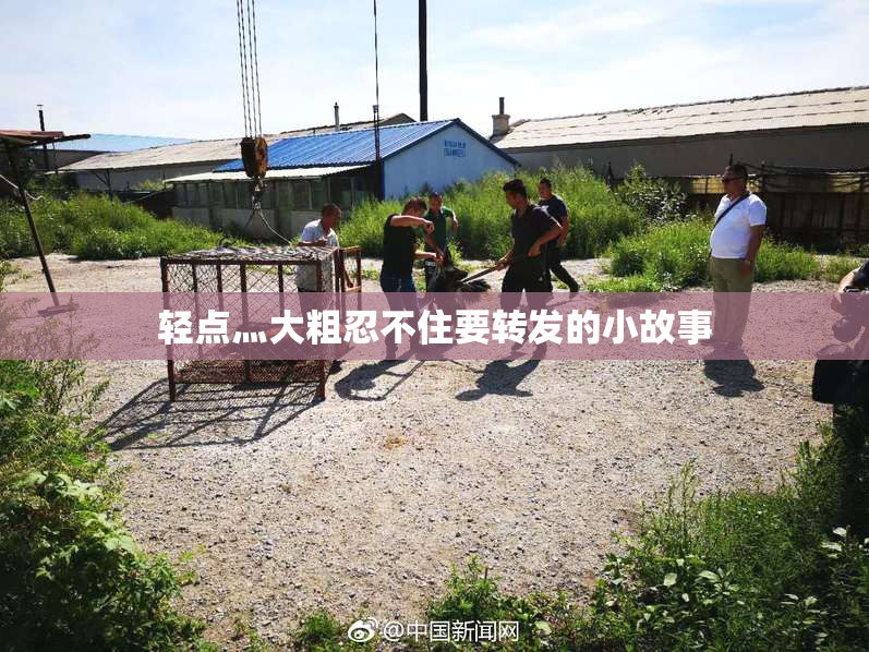 轻点灬大粗忍不住要转发的小故事