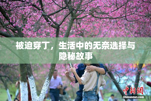 被迫穿丁，生活中的无奈选择与隐秘故事