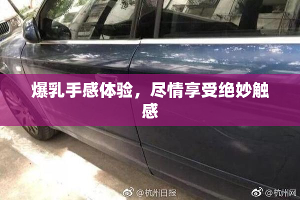 爆乳手感体验，尽情享受绝妙触感