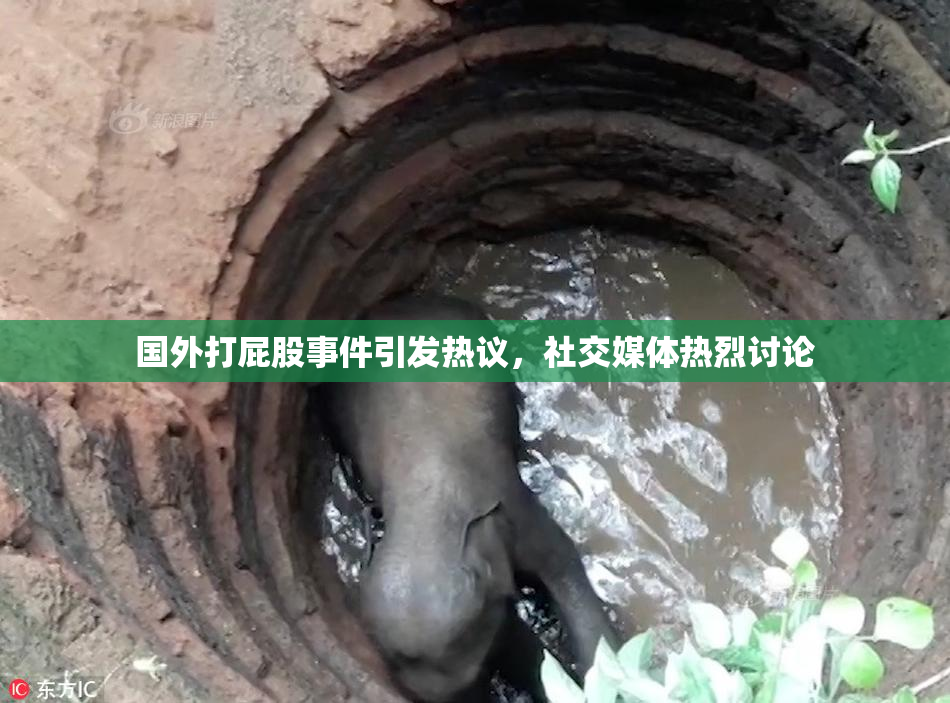国外打屁股事件引发热议，社交媒体热烈讨论