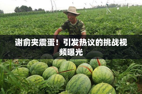 谢俞夹震蛋！引发热议的挑战视频曝光