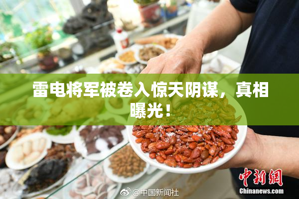 雷电将军被卷入惊天阴谋，真相曝光！