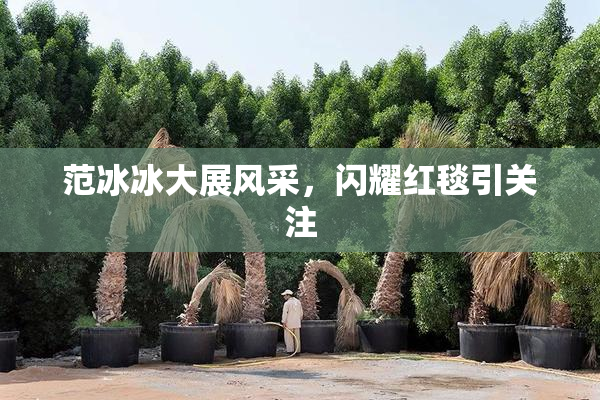 范冰冰大展风采，闪耀红毯引关注