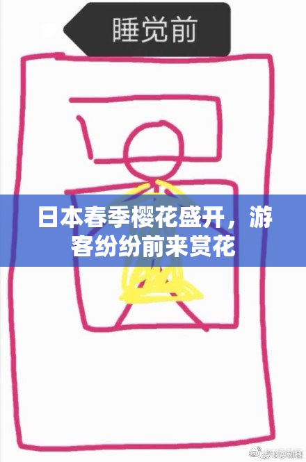 日本春季樱花盛开，游客纷纷前来赏花