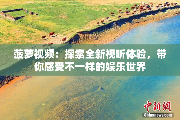 菠萝视频：探索全新视听体验，带你感受不一样的娱乐世界