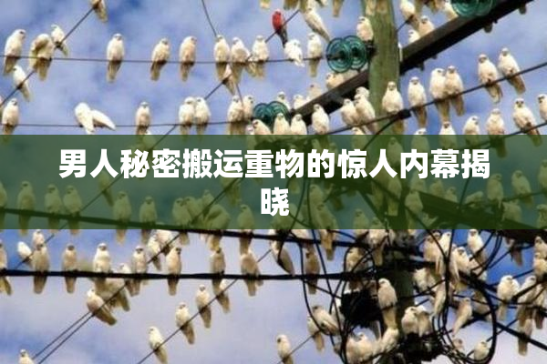男人秘密搬运重物的惊人内幕揭晓