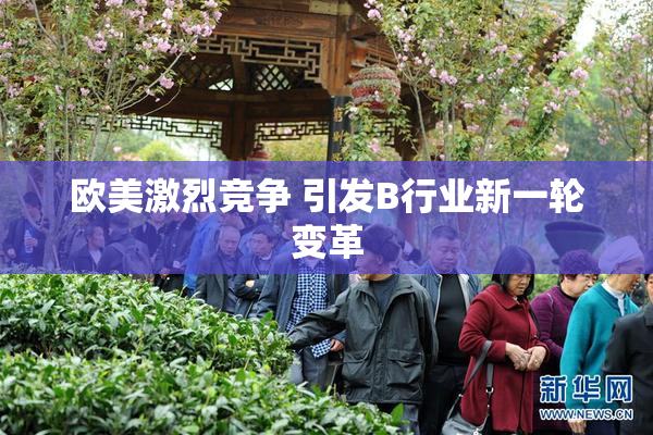 欧美激烈竞争 引发B行业新一轮变革