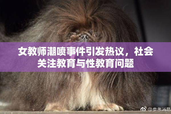 女教师潮喷事件引发热议，社会关注教育与性教育问题