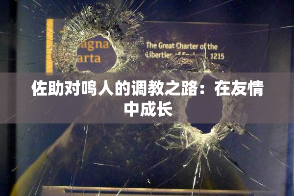 佐助对鸣人的调教之路：在友情中成长
