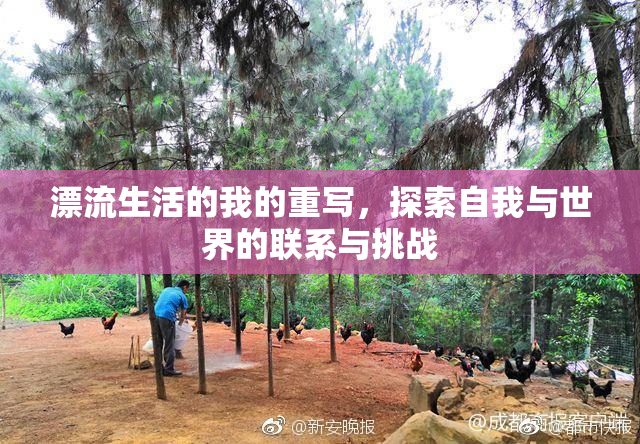 漂流生活的我的重写，探索自我与世界的联系与挑战