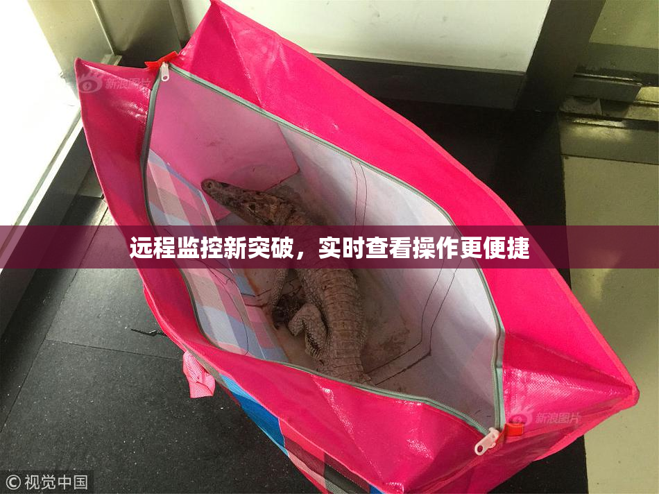 远程监控新突破，实时查看操作更便捷