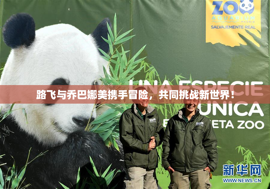 路飞与乔巴娜美携手冒险，共同挑战新世界！