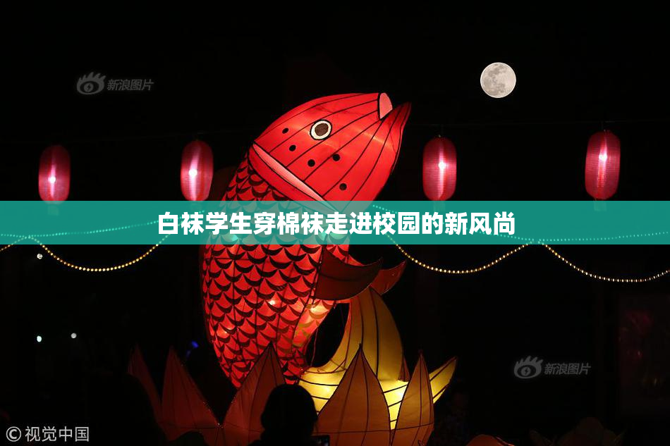 白袜学生穿棉袜走进校园的新风尚