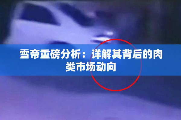 雪帝重磅分析：详解其背后的肉类市场动向