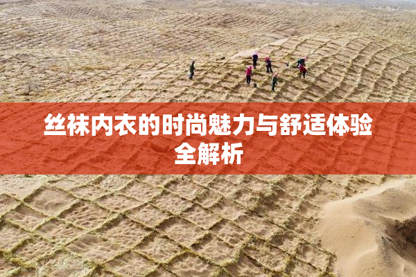 丝袜内衣的时尚魅力与舒适体验全解析