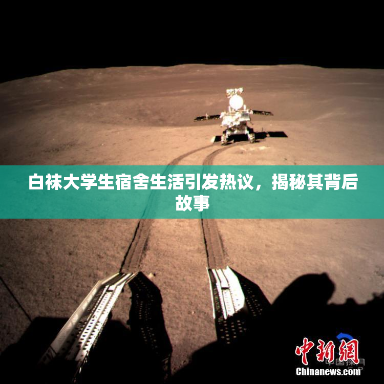 白袜大学生宿舍生活引发热议，揭秘其背后故事