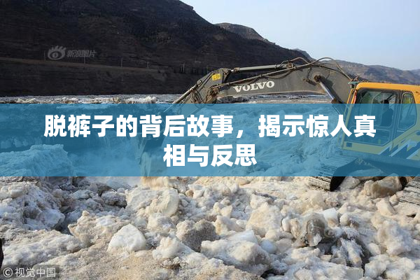 脱裤子的背后故事，揭示惊人真相与反思