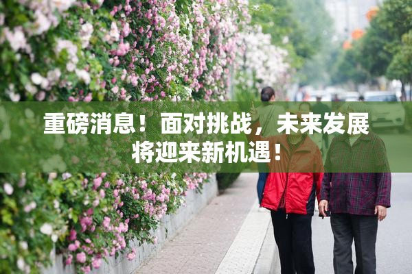重磅消息！面对挑战，未来发展将迎来新机遇！