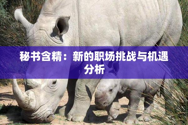 秘书含精：新的职场挑战与机遇分析
