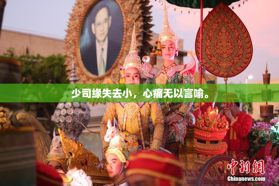 少司缘失去小，心痛无以言喻。