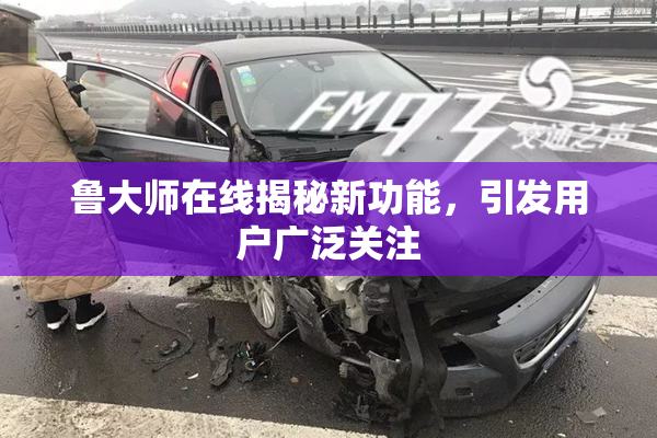 鲁大师在线揭秘新功能，引发用户广泛关注