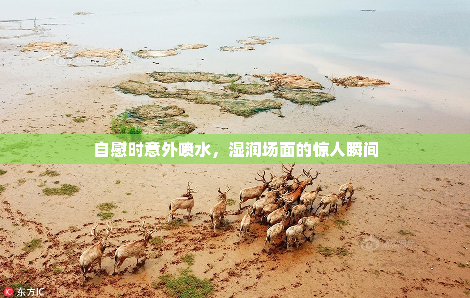 自慰时意外喷水，湿润场面的惊人瞬间