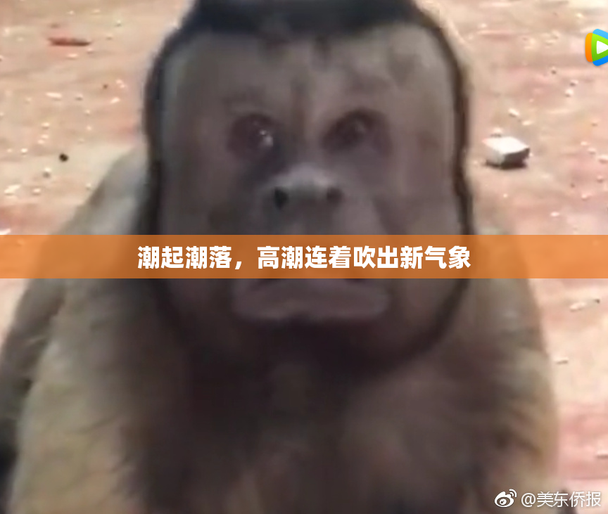潮起潮落，高潮连着吹出新气象