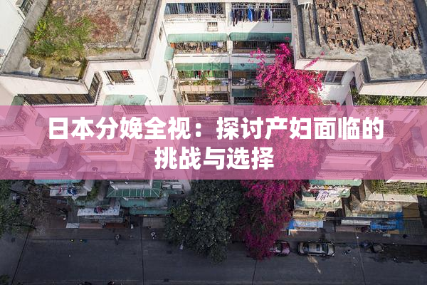 日本分娩全视：探讨产妇面临的挑战与选择