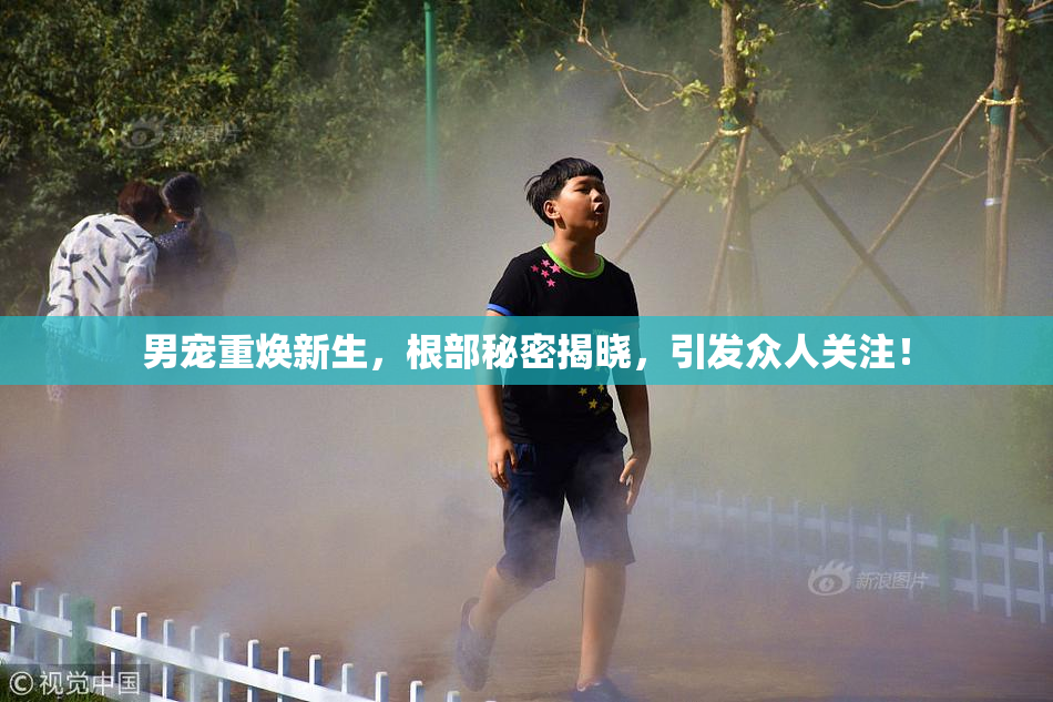 男宠重焕新生，根部秘密揭晓，引发众人关注！