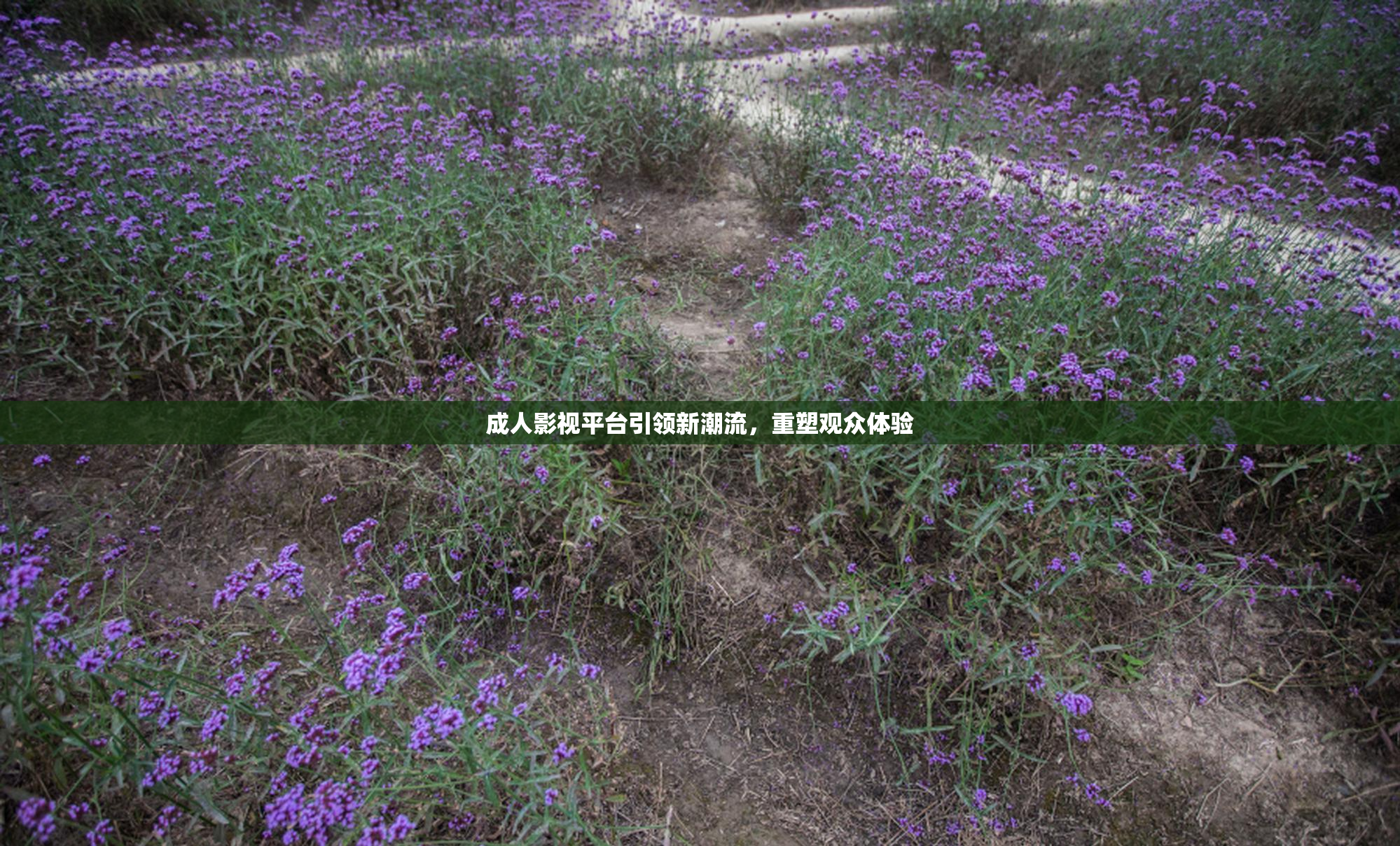 成人影视平台引领新潮流，重塑观众体验