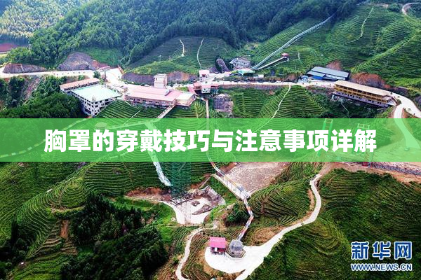 胸罩的穿戴技巧与注意事项详解